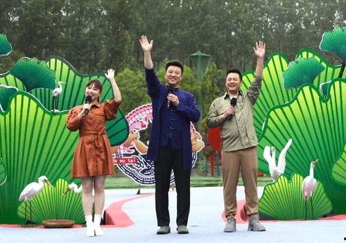 张大锤最新爆料新闻视频,最新爆料新闻视频深度解析